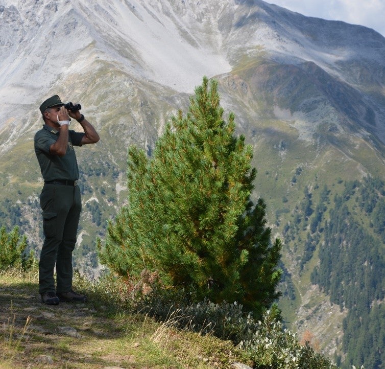 Förster mit Fernglas