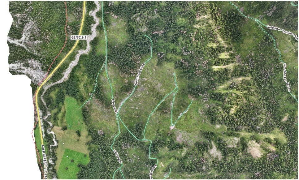 Rimboschimento Heimwald