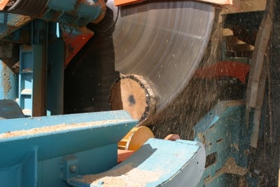 Troncatrice / Sega circolare