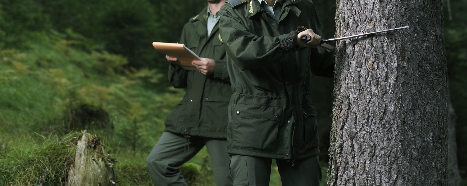 Personale forestale durante il cavallettamento di un albero
