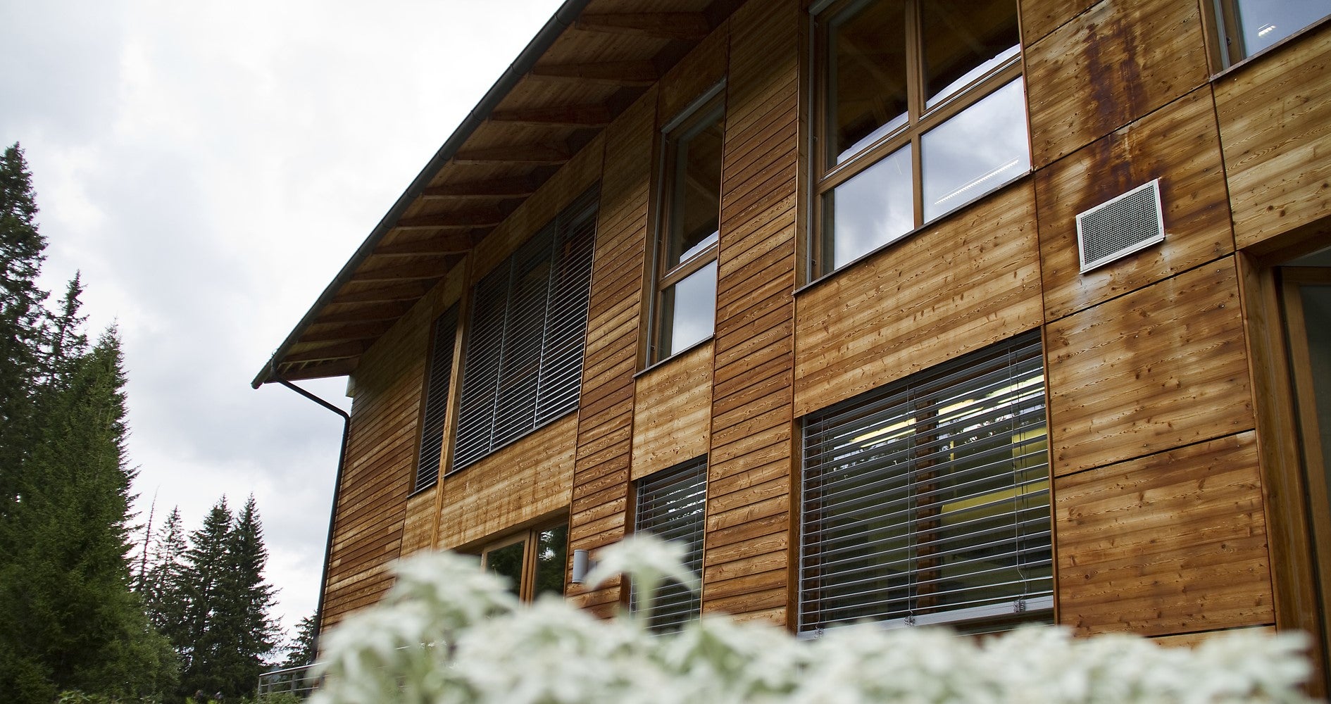 Scuola forestale è stata realizzata con rivestimento in legno
