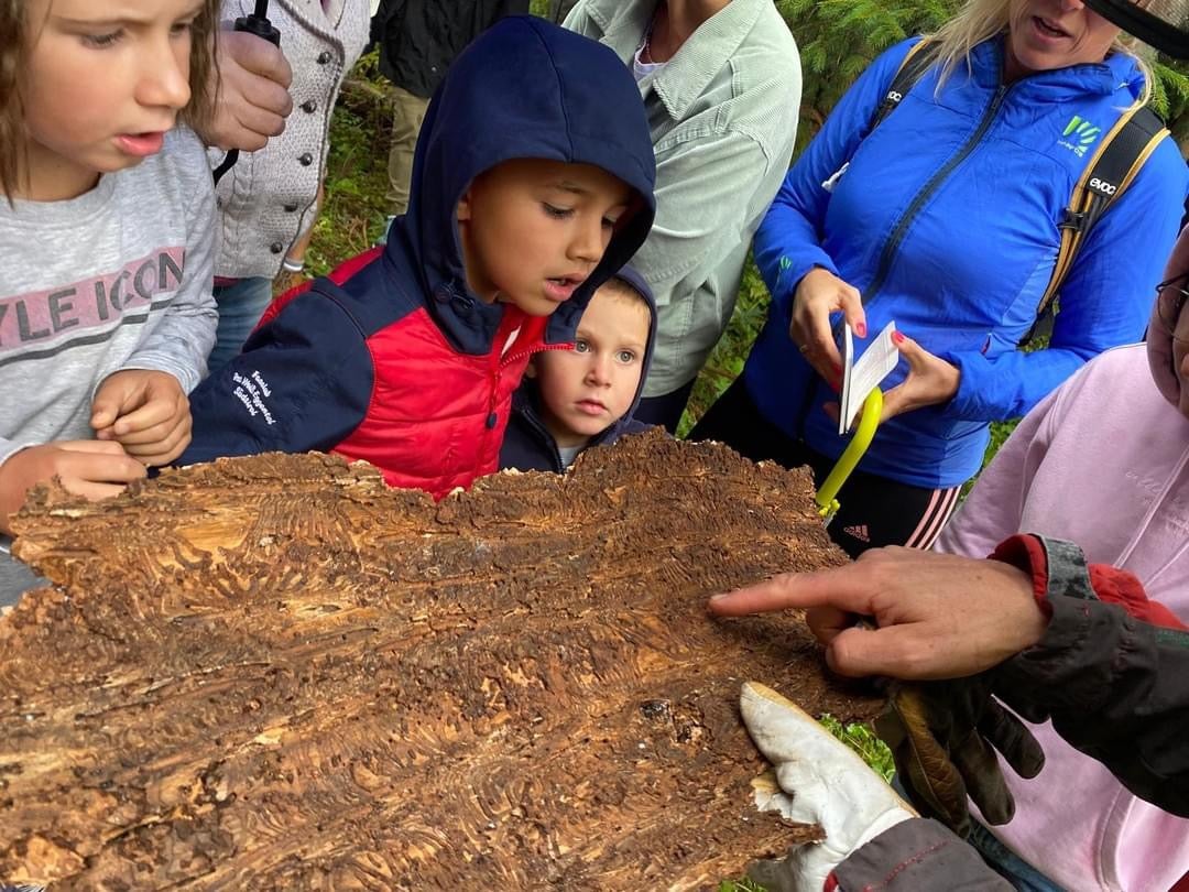 Giornata porte aperte