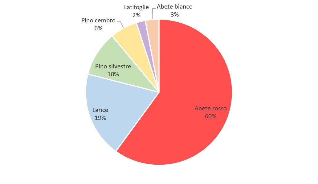 Diagramma specie arboree, Fonte: Dati interni della Ripartizione Servizio forestale
