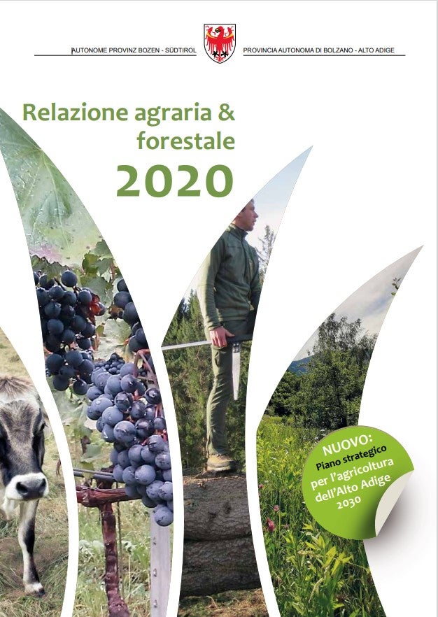 Relazione agraria & forestale 2020