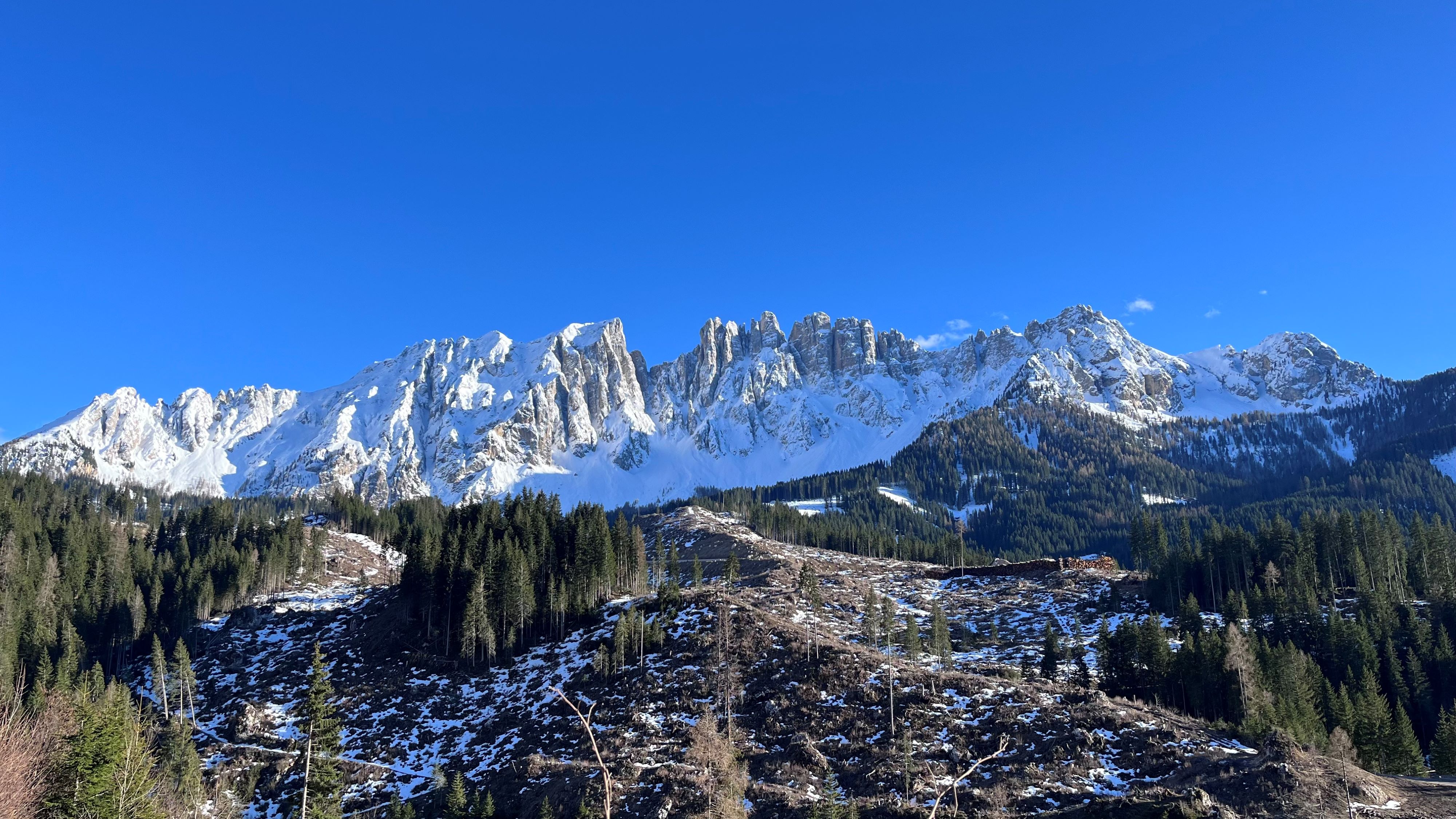 Negli ultimi anni, calamità naturali hanno creato grandi radure nei boschi del Latemar
