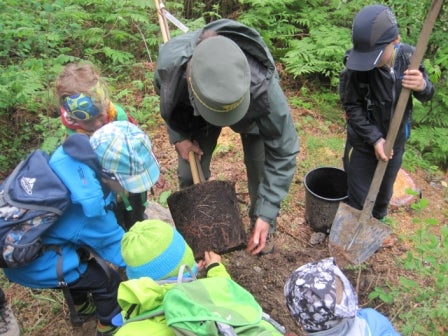 Scavare per piantare alberi