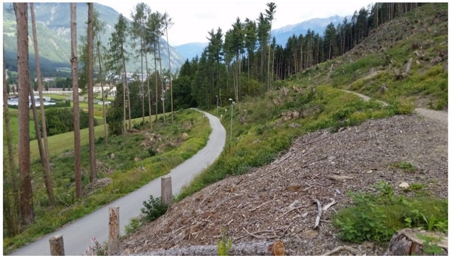 Superficie - schianto da vento Waldheim 2019