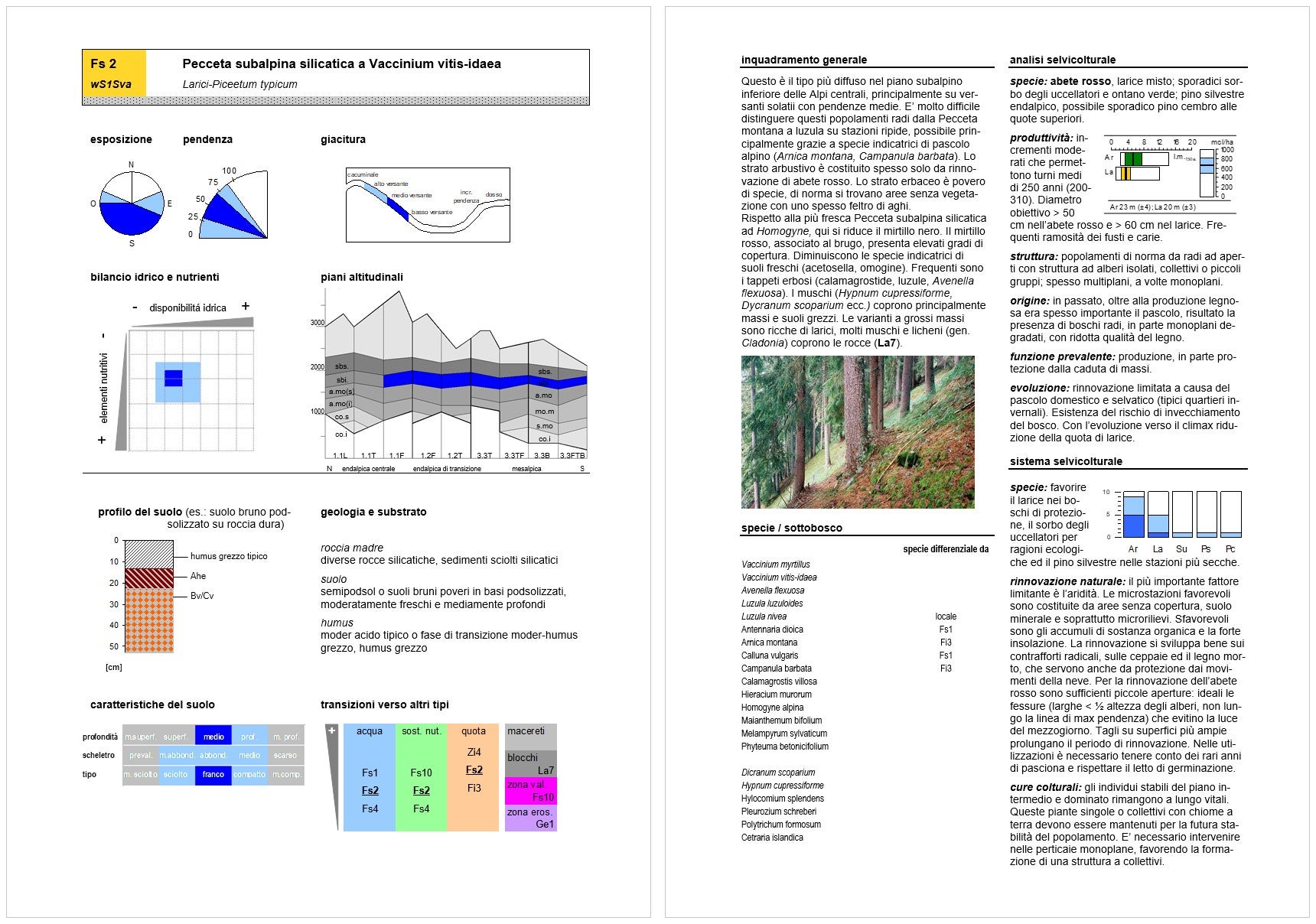 Estratto dal manuale: descrizione ecologica e selvicolturale di un tipo forestale