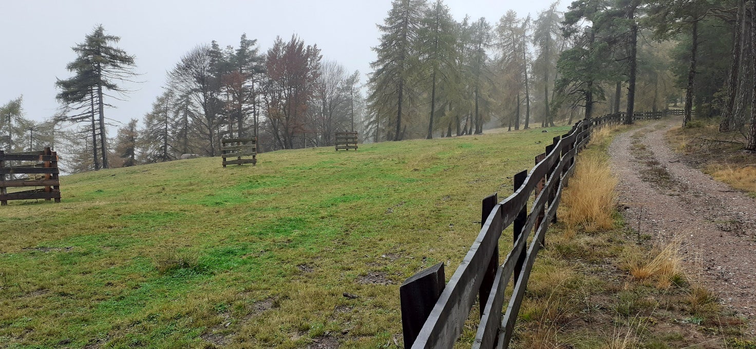 Recinzioni permettono un utilizzo scaglionato delle aree di pascolo.
