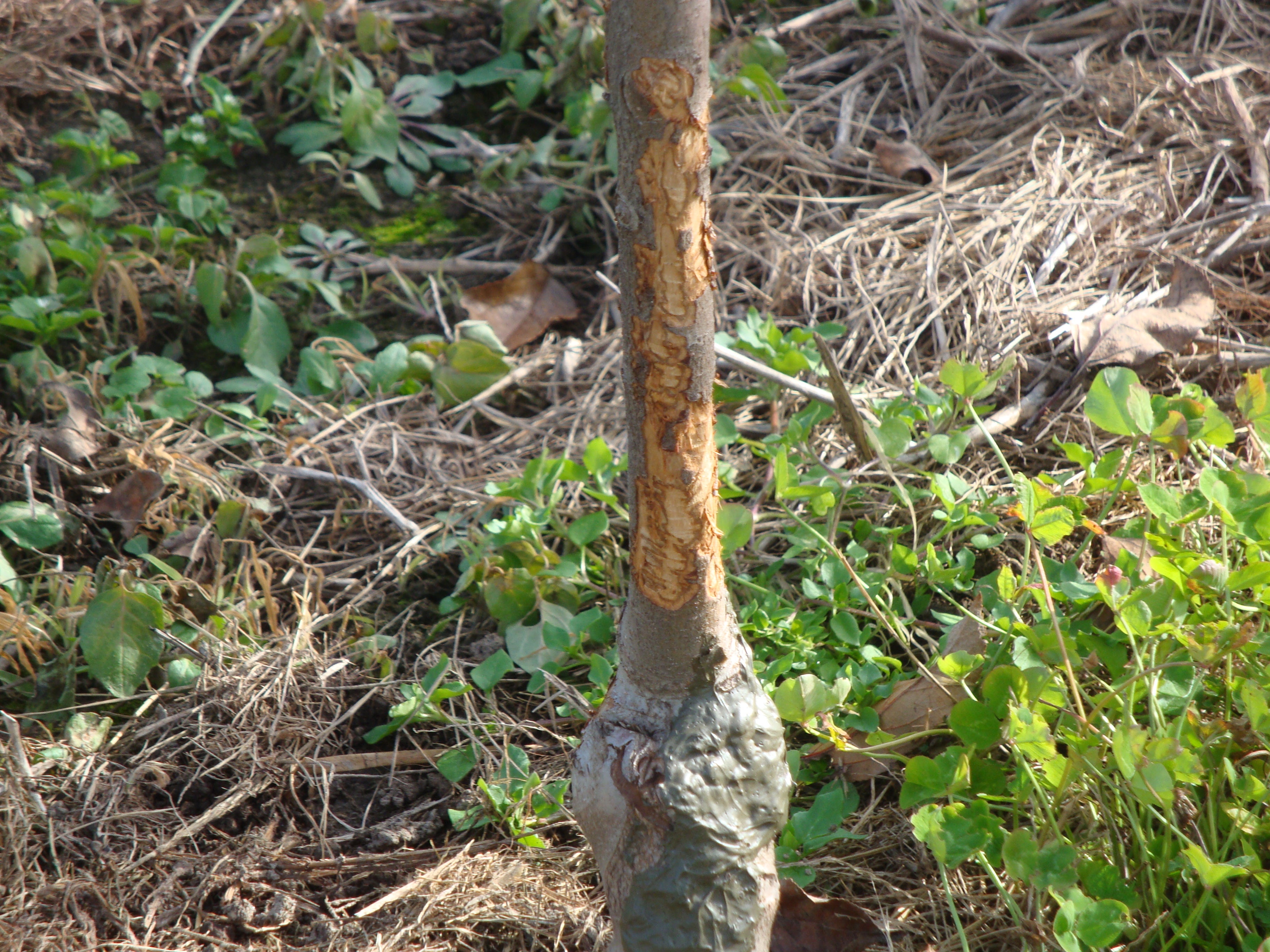 Beiträge und Vergütungen