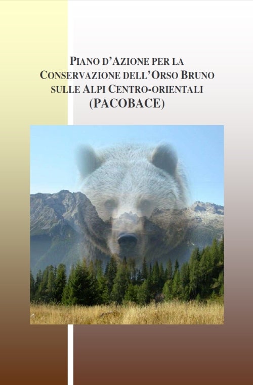 Piano d'azione interregionale per la conservazione dell'orso bruno nelle alpi centro-orientali