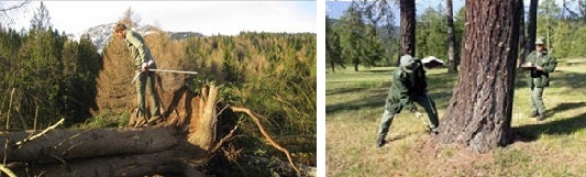 Assegnazione delle piante