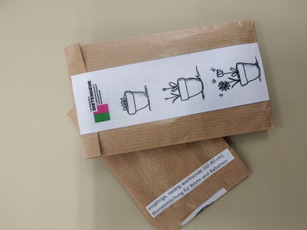 Aussaatmischung selbst gestaltet.