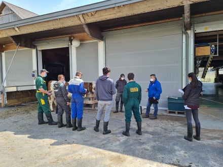 Fachschule Dietenheim punktieren lernen mit dem Rinderzuchtverband Südtirol