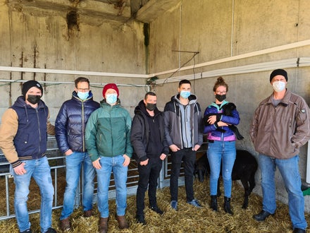 Junglandwirte Ausbildung einige Teilnehmer im Schaftstall