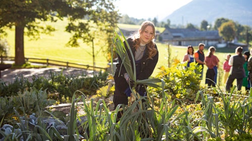 Ernte im Garten der Fachschule für Hauswirtschaft und Ernährung