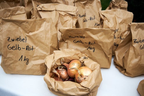 Schulladen Kartoffel Gemüse 