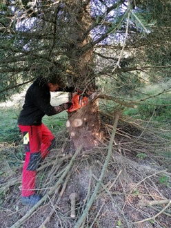 Weidepflege 2021 FSDietenheim