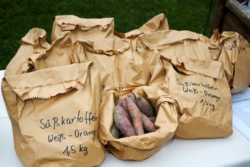 Schulladen Kartoffel Gemüse 