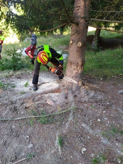 Weidepflege 2021 FSDietenheim