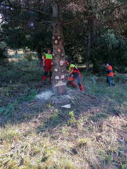 Weidepflege 2021 FSDietenheim