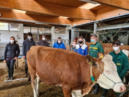 Fachschule Dietenheim punktieren lernen mit dem Rinderzuchtverband Südtirol