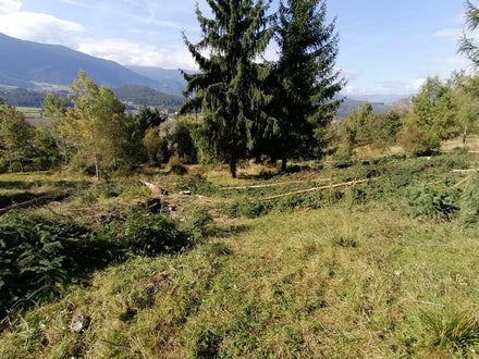 Weidepflege 2021 FSDietenheim