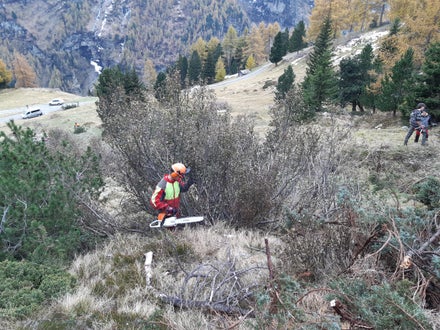 Weidepflege Projekt mit Forstamt