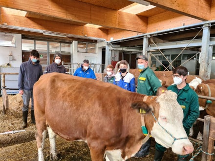Fachschule Dietenheim punktieren lernen mit dem Rinderzuchtverband Südtirol