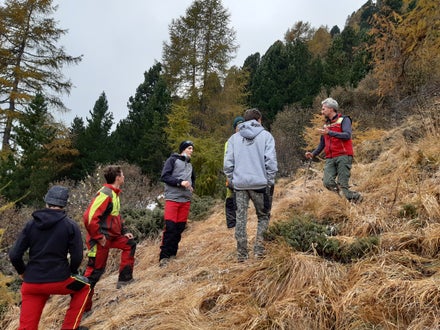 Weidepflege Projekt mit Forstamt