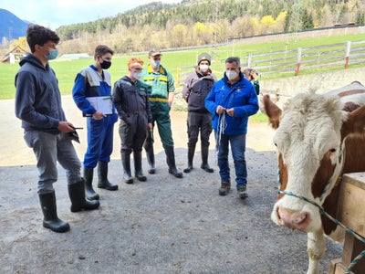 Fachschule Dietenheim punktieren lernen mit dem Rinderzuchtverband Südtirol