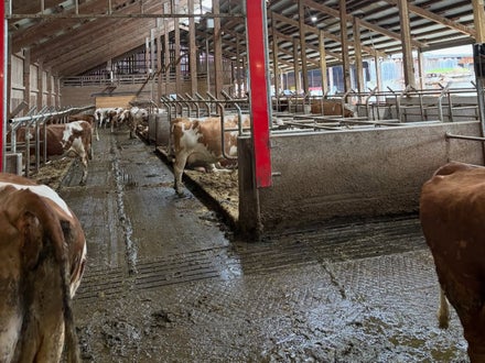 Abschlusslehrfahrt 4A LW FSDietenheim_2026