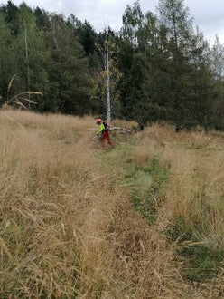 Weidepflege 2021 FSDietenheim