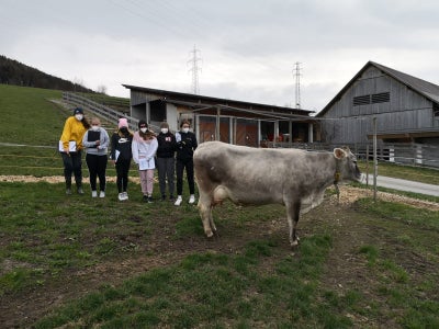 Hauswirtschaft in der Landwirtschaft-Tierpflege