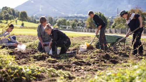 Schüler bei der Ernte von Kartoffeln an der FS Dietenheim