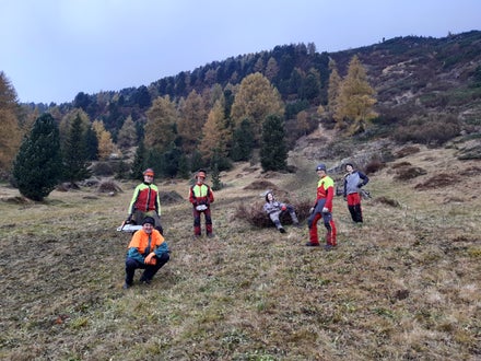 Weidepflege Projekt mit Forstamt