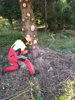Weidepflege 2021 FSDietenheim