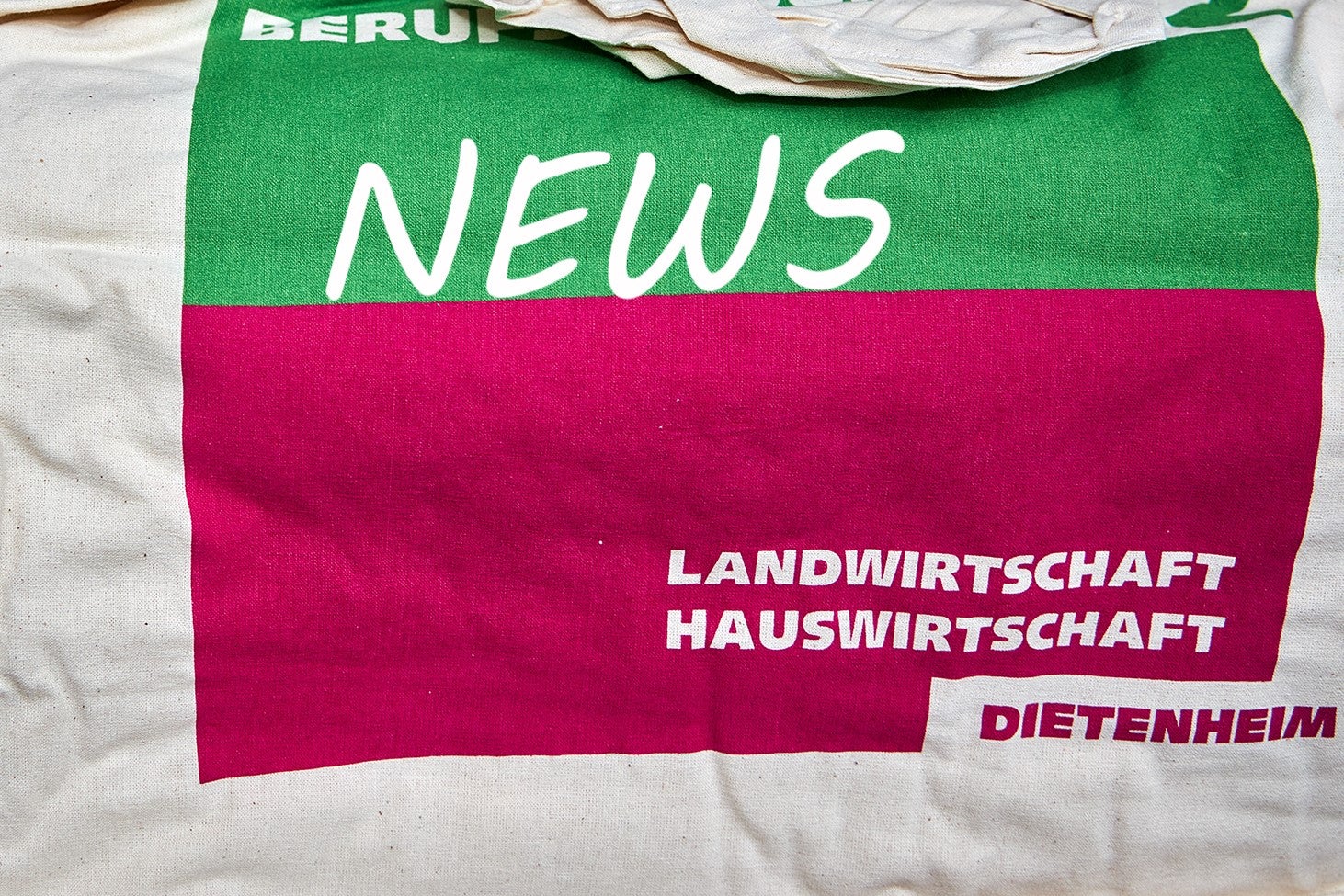 News Banner FSDietenheim