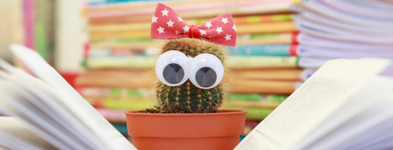 Kaktus mit Augen liest in Buch