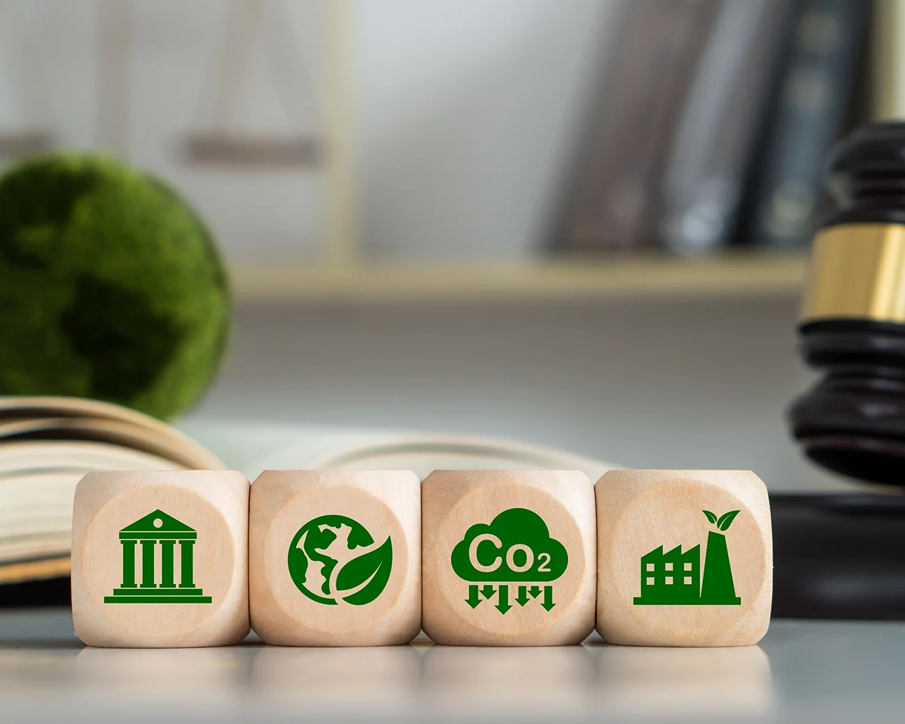 Elementen van het omgevingsrecht