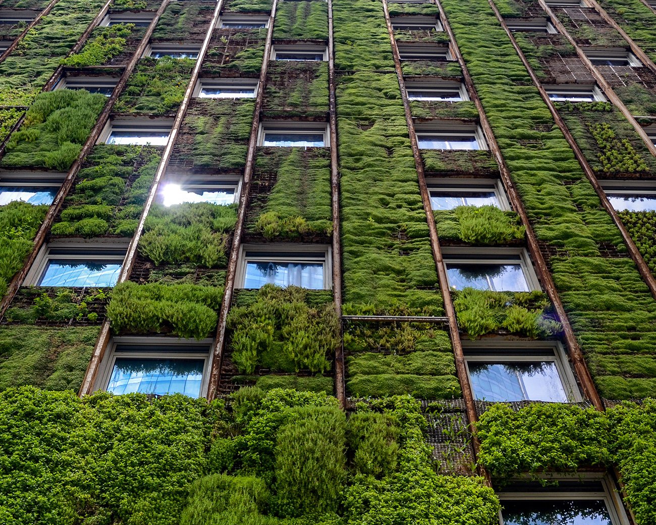 Kantoorgevel met begroeiing