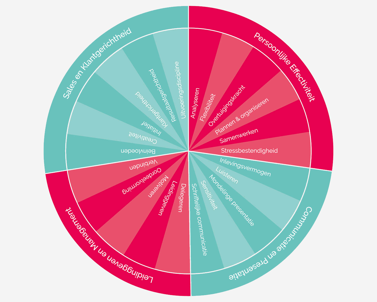 Taartdiagram met competenties BVO