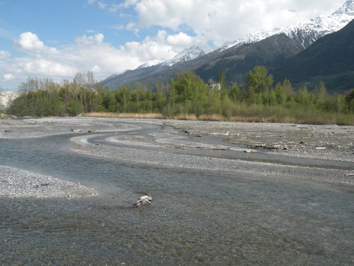 Sand- und Kiesbänke im Biotop Prader Sand (Archiv Amt für Natur, Foto Giulia Ligazzolo, 2016)
