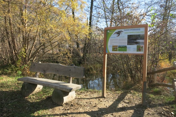 Percorso natura Ontaneto di Sluderno (Archivio Ufficio Natura)
