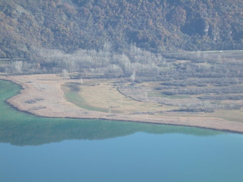 Teilweise gemähter Schilfgürtel im Biotop Kalterer See (Archiv Amt für Natur, Foto Ladurner, 2004)