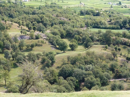 Landschaft bei Castelfeder, Montan (Archiv Amt für Natur, Foto Georg Praxmarer, 2013)
