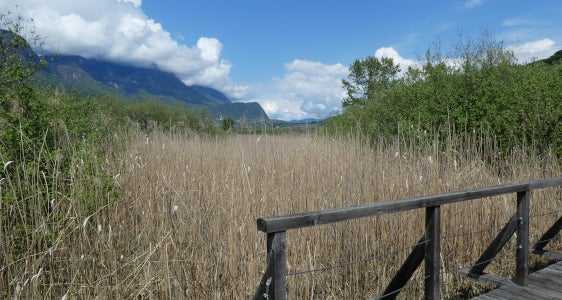 Misure di Conservazione