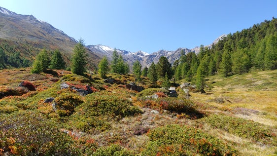 LSG Lagaun