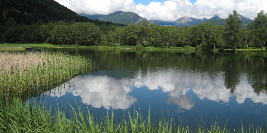 Biotop Unterackern, Sterzing (Archiv Amt für Natur, Foto Konrad Stockner, 2009)