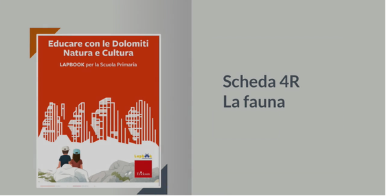 [external Link]: Die Fauna